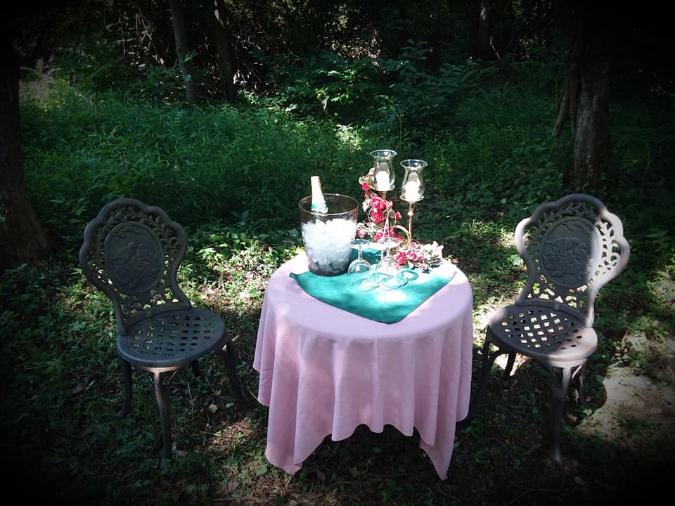 Celebration table in the woods